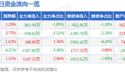 股票行情快报：彩讯股份（300634）10月9日主力资金净卖出961.94万元
