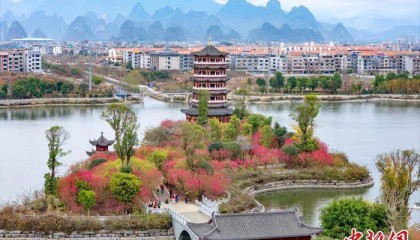 广西贺州：湿地公园桃花开