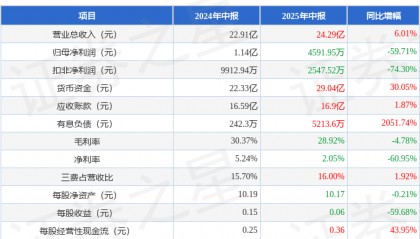 东富龙（300171）2025年中报简析：增收不增利，公司应收账款体量较大