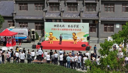 十堰茅箭：“蜂蜜市集”开启“甜蜜经济”