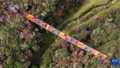 贵州：多彩大地 风光无限