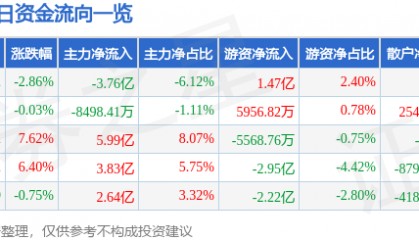 股票行情快报：兴森科技（002436）5月27日主力资金净卖出3.76亿元