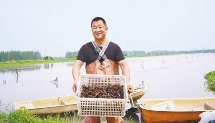 端午期间，潜江小龙虾日销2000吨