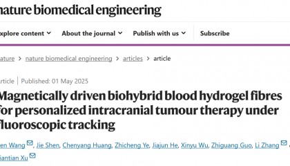 全球首个磁控血液凝胶机器人问世