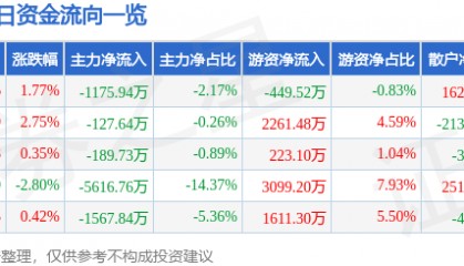 股票行情快报：彩讯股份（300634）9月12日主力资金净卖出1175.94万元