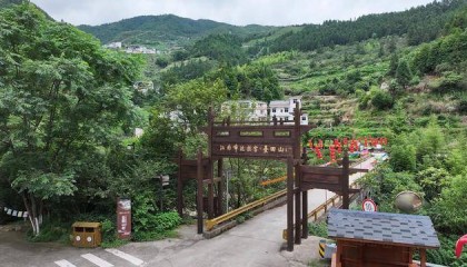 浙江开化：打造乡村文旅新图景