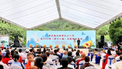 湖南炎陵：黄桃迎盛会，桃醉八方客