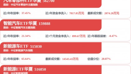 赛轮轮胎获得外观设计专利授权：“轮胎”
