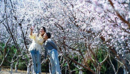 石家庄：赴一场与繁花的约会