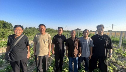 夏至：衡水生态之约