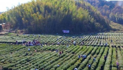 清明假期，六安“火热”！