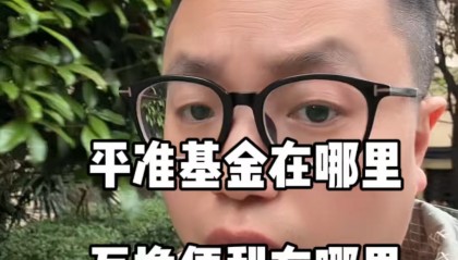平准基金(平准基金什么意思)
