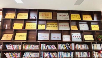 基层治理驻马店实践