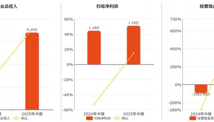 彩讯股份(300634.SZ)：2025年中报净利润为1.35亿元