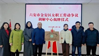 正式揭牌！六安首个！