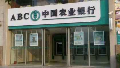 农币网(浓鼻涕吃什么药)