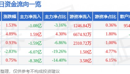 股票行情快报：兴森科技（002436）4月20日主力资金净卖出1.08亿元