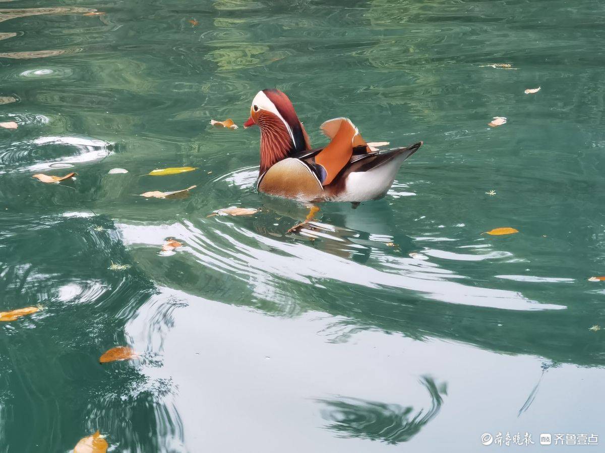 贵州荔波小七孔风景区的鸳鸯湖