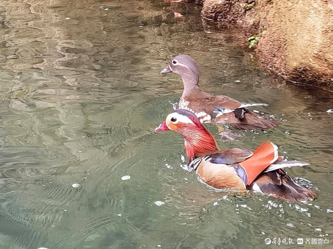 贵州荔波小七孔风景区的鸳鸯湖