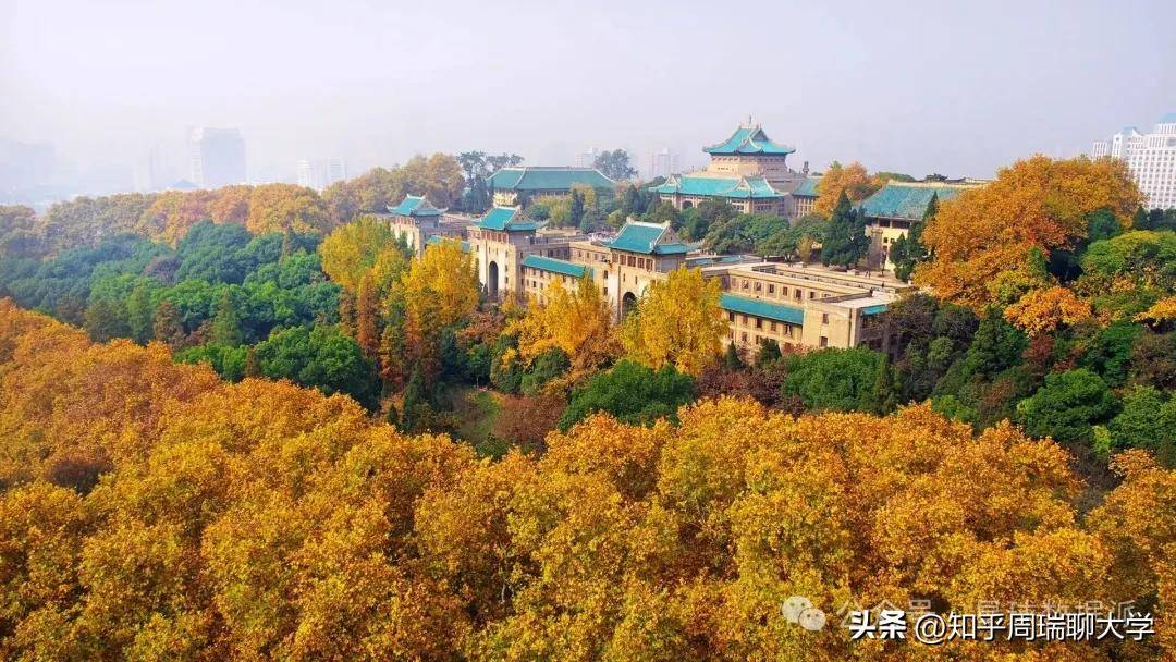 2025湖南提前批分数线排名：湖南大学文理都进前8，北师物理类第2