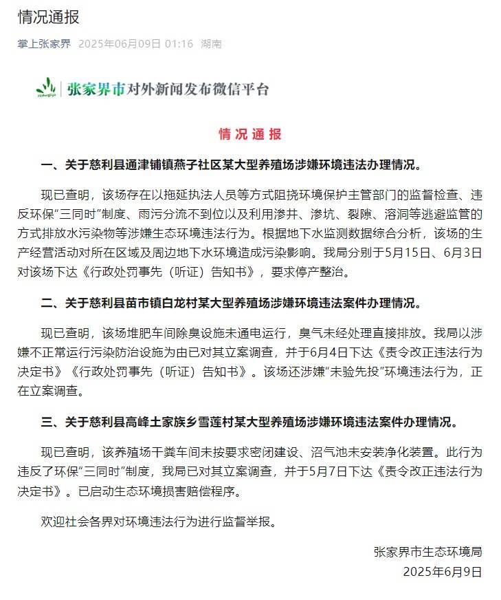 张家界凌晨通报！