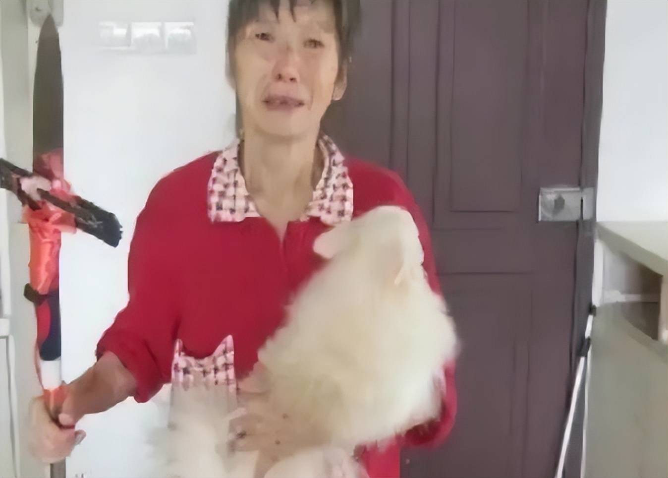 每天发一张恐怖自拍?天涯论坛最诡异事件之一,小婷562始末