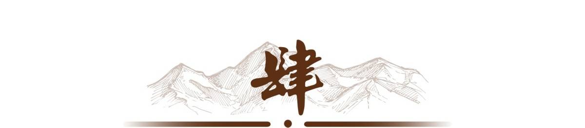 每天发一张恐怖自拍?天涯论坛最诡异事件之一,小婷562始末