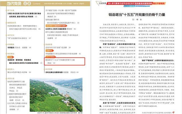 中共重庆市开州区委常委、组织部部长杨业：锻造堪当“十五五”开局重任的骨干力量