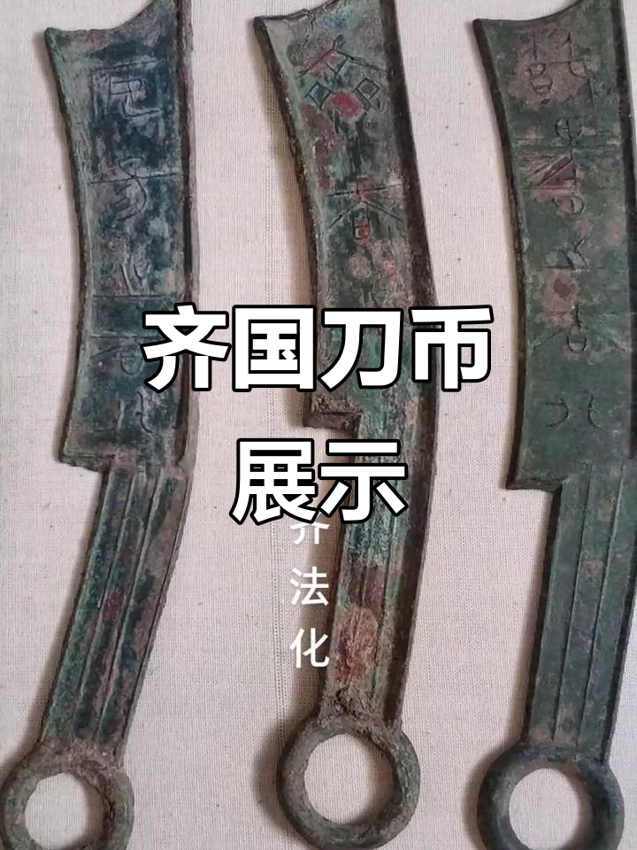 齐币(齐币小短裤) 齐币(齐币小短裤)