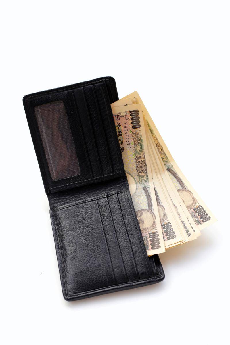 币口袋(壁口袋地蜘蛛) 币口袋(壁口袋地蜘蛛)