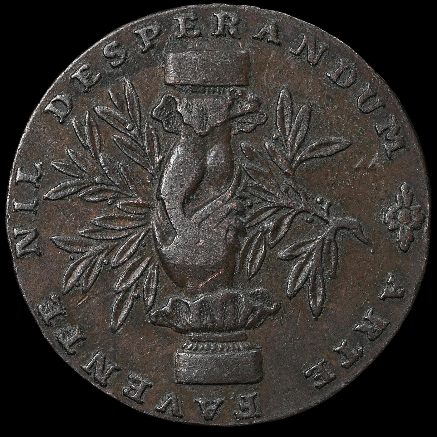 达士币(达世币最新价格)